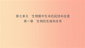 山東省2019年中考生物總復(fù)習(xí) 第七單元 生物圈中生命的延續(xù)和發(fā)展 第一章 生物的生殖和發(fā)育課件.ppt