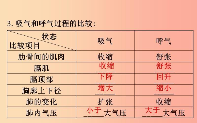 2019版七年级生物下册第四单元生物圈中的人第三章人体的呼吸2发生在肺内的气体交换教学课件新人教版.ppt_第3页