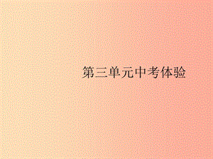 （福建專版）2019春八年級(jí)歷史下冊(cè) 第三單元 中國(guó)特色社會(huì)主義道路中考體驗(yàn)課件 新人教版.ppt