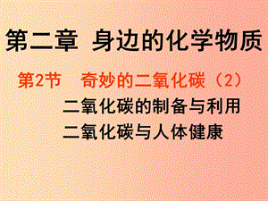 2019年九年級化學(xué)上冊 第2章 身邊的化學(xué)物質(zhì) 2.2 奇妙的二氧化碳（2）課件 滬教版.ppt