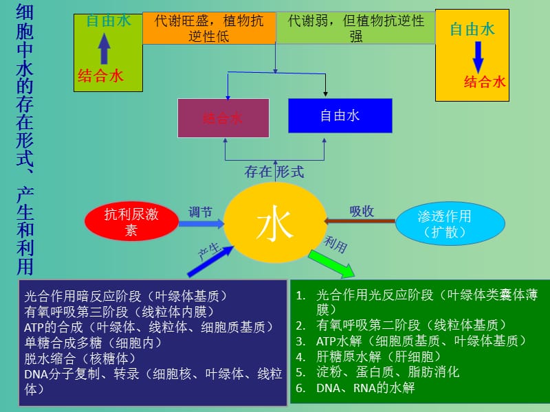 高考生物 高频考点2 细胞中水的存在形式、产生和利用素材.ppt_第1页