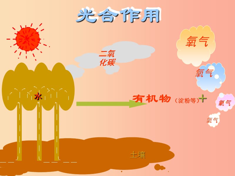 八年级生物上册 第3章 第三节 光合作用的场所课件 （新版）冀教版.ppt_第2页