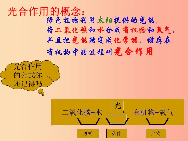 八年级生物上册 第3章 第三节 光合作用的场所课件 （新版）冀教版.ppt_第3页