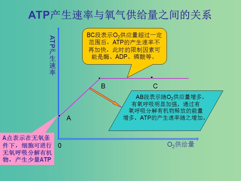 高考生物 高頻考點9 ATP產(chǎn)生速率與供給量之間的關(guān)系素材.ppt_第1頁