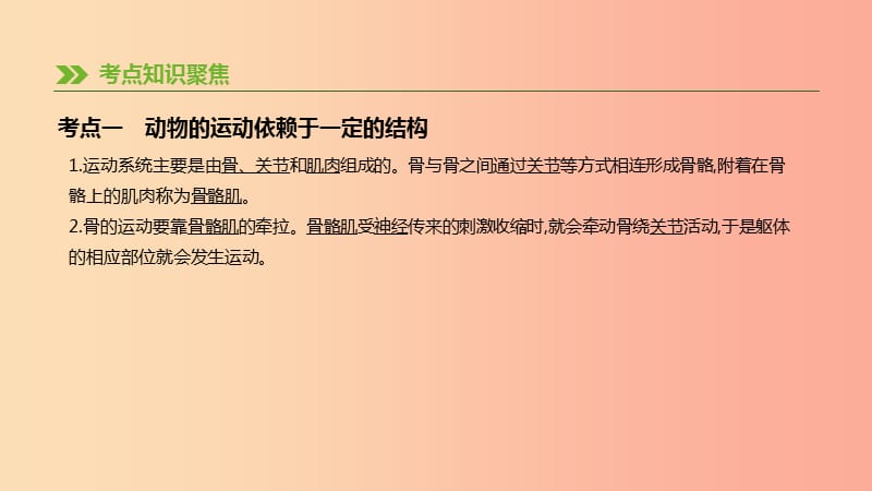 广东省2019年中考生物 主题复习五 动物的运动和行为 第09课时 动物的运动和行为课件.ppt_第3页