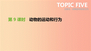 廣東省2019年中考生物 主題復習五 動物的運動和行為 第09課時 動物的運動和行為課件.ppt