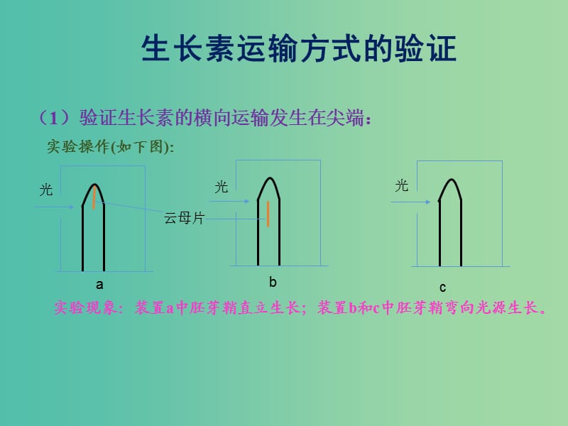 高考生物 高頻考點(diǎn)34 生長素運(yùn)輸方式的驗(yàn)證素材.ppt_第1頁