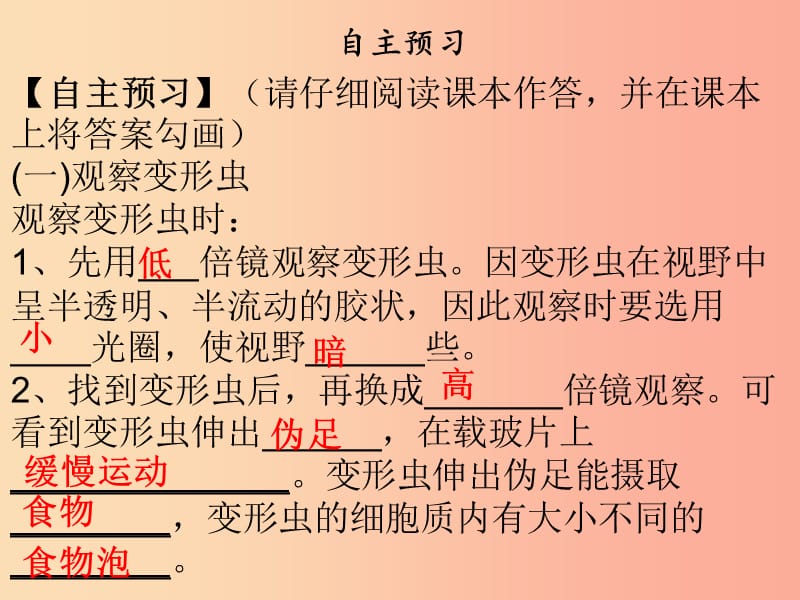 2019年七年级生物上册第2单元第3章第2节细胞是生命活动的单位课件（新版）北师大版.ppt_第3页