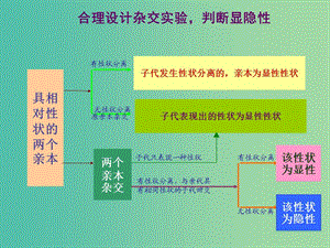 高考生物 高頻考點17 合理設(shè)計雜交實驗判斷顯隱性素材.ppt