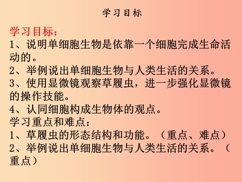 2019年七年级生物上册第二单元第二章第四节单细胞生物课件 新人教版.ppt_第2页