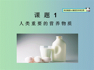 九年級化學下冊 第十二單元 課題1 人類重要的營養(yǎng)物質(zhì)課件 （新版）新人教版.ppt