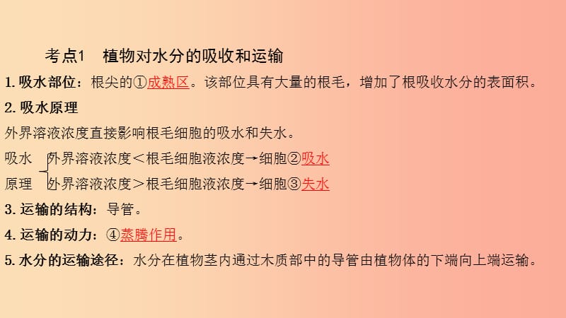 中考生物总复习 第一部分 基础考点巩固 第三单元 生物圈中的绿色植物 第三章 绿色植物与生物圈的水循环.ppt_第3页