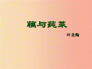 2019年七年級語文上冊第二單元第8課藕與莼菜課件4滬教版五四制.ppt