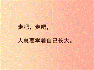 湖南省九年級(jí)語(yǔ)文上冊(cè) 第三單元 10《孤獨(dú)之旅》課件1 新人教版.ppt