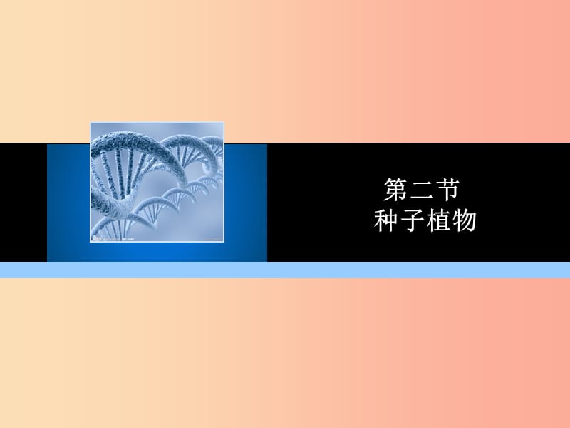 2019年七年级生物上册 第三单元 第一章 第二节 种子植物教学课件 新人教版.ppt_第1页