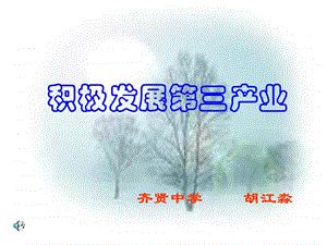 大力發(fā)展第三產(chǎn)業(yè).ppt