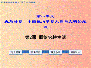 2019年秋七年級(jí)歷史上冊(cè) 第一單元 史前時(shí)期：中國(guó)境內(nèi)人類(lèi)的活動(dòng) 第2課 原始農(nóng)耕生活教學(xué)課件 新人教版.ppt