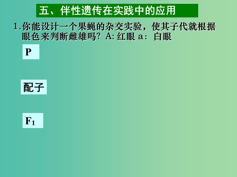 高中生物 第二章 基因和染色体的关系 第03节 伴性遗传2课件 新人教版必修2.ppt_第2页