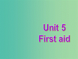 高中英語復(fù)習(xí) Unit 5 First aid課件 新人教版必修5.ppt