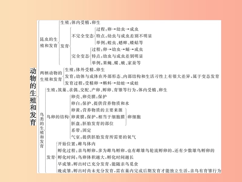 八年级生物上册 第四单元 第二章 动物的生殖和发育本章整合课件 （新版）济南版.ppt_第2页