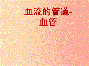 安徽省七年級生物下冊 4.4.2《血流的管道—血管》課件2 新人教版.ppt