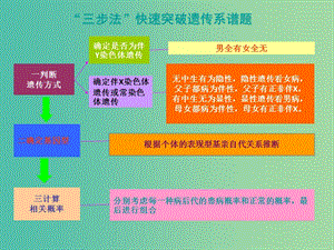 高考生物 高頻考點(diǎn)18 三步法款速突破遺傳系譜題素材.ppt