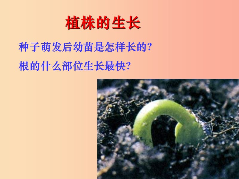 安徽省七年級(jí)生物上冊(cè) 3.2.2 植株的生長(zhǎng)課件2 新人教版.ppt_第1頁(yè)