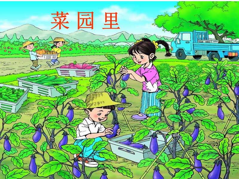 人教版小学一年级语文上册《菜园里》课件.ppt_第1页