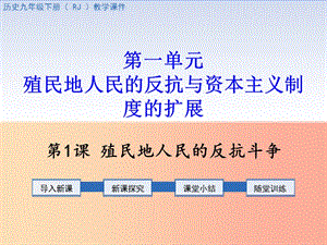 九年級(jí)歷史下冊(cè) 第一單元 殖民地人民的反抗與資本主義制度的擴(kuò)展 第1課 殖民地人民的反抗斗爭(zhēng)教學(xué).ppt