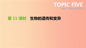 廣東省2019年中考生物 主題復(fù)習(xí)六 生物的生殖、發(fā)育和遺傳、變異 第11課時(shí) 生物的遺傳和變異課件.ppt