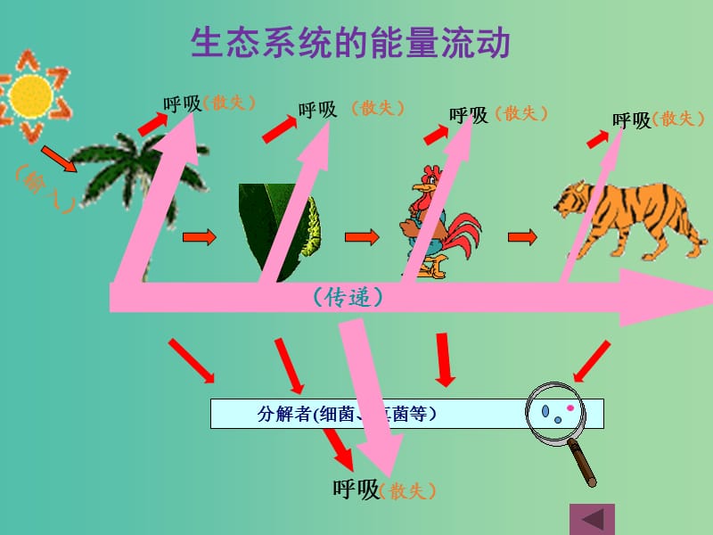 高考生物 高頻考點36 生態(tài)系統(tǒng)的能量流動素材.ppt_第1頁