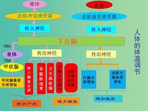 高考生物 高頻考點27 人體體溫調(diào)節(jié)和水鹽調(diào)節(jié)素材.ppt