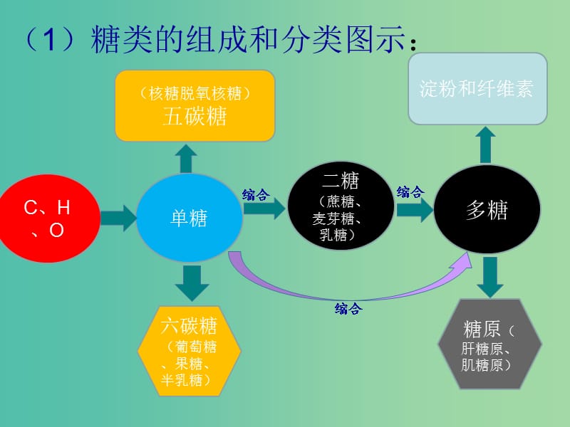 高考生物 高頻考點6 糖類和脂質(zhì)的種類和作用素材.ppt_第1頁