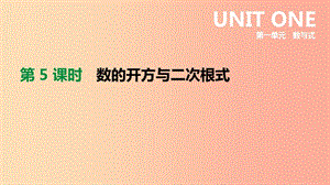 2019年中考數(shù)學(xué)總復(fù)習(xí) 第一單元 數(shù)與式 第05課時 數(shù)的開方與二次根式課件 湘教版.ppt