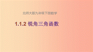 山東省濟南市槐蔭區(qū)九年級數(shù)學下冊 第1章 直角三角形的邊角關系 1.1 銳角三角函數(shù) 1.1.1 銳角三角函數(shù)（2）課件 （新版）北師大版.ppt