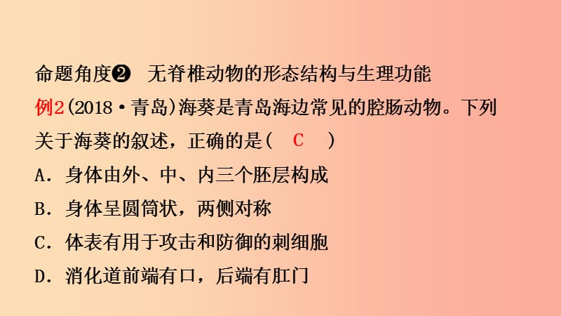 山东省2019年中考生物总复习 第五单元 生物圈中的其他生物 第一章 动物的主要类群课件.ppt_第3页