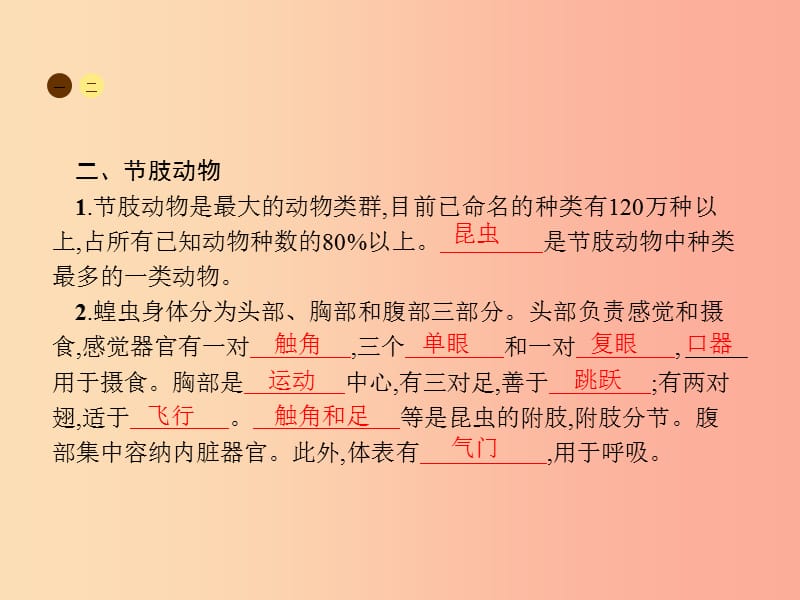 八年级生物上册 5.1.3 软体动物和节肢动物课件 新人教版.ppt_第3页