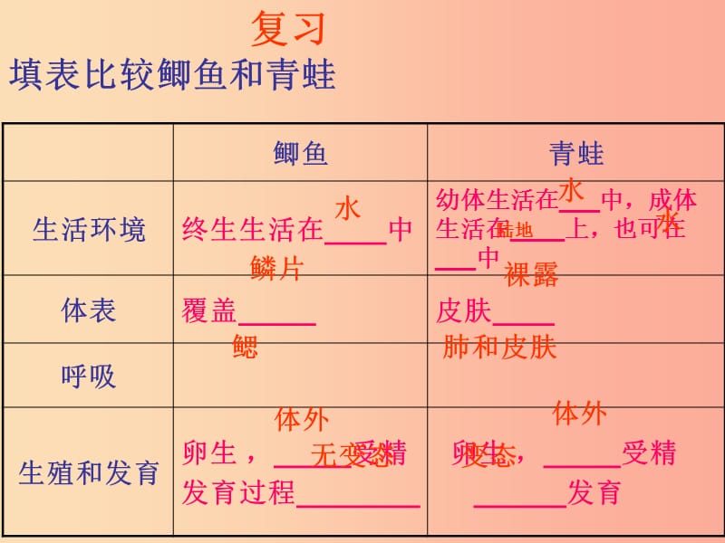 吉林省通化市八年级生物上册 5.1.5两栖动物和爬行动物 爬行动物课件 新人教版.ppt_第1页