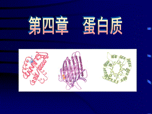 南京農(nóng)業(yè)大學(xué)生化課件.ppt