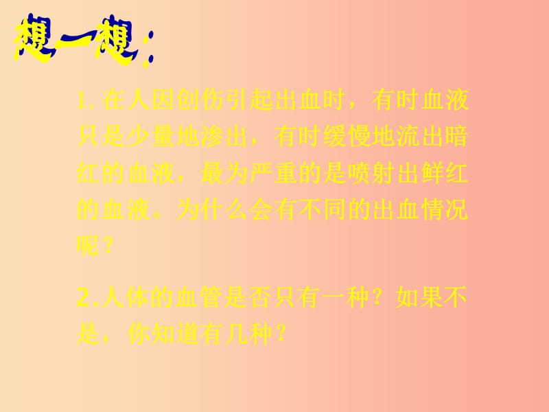 安徽省七年级生物下册4.4.2血流的管道_血管课件1 新人教版.ppt_第2页