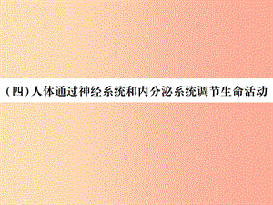 2019年中考生物總復(fù)習(xí) 五 生物圈中的人（人體通過神經(jīng)系統(tǒng)和內(nèi)分泌系統(tǒng)調(diào)節(jié)生命活動(dòng)）教材整理課件.ppt