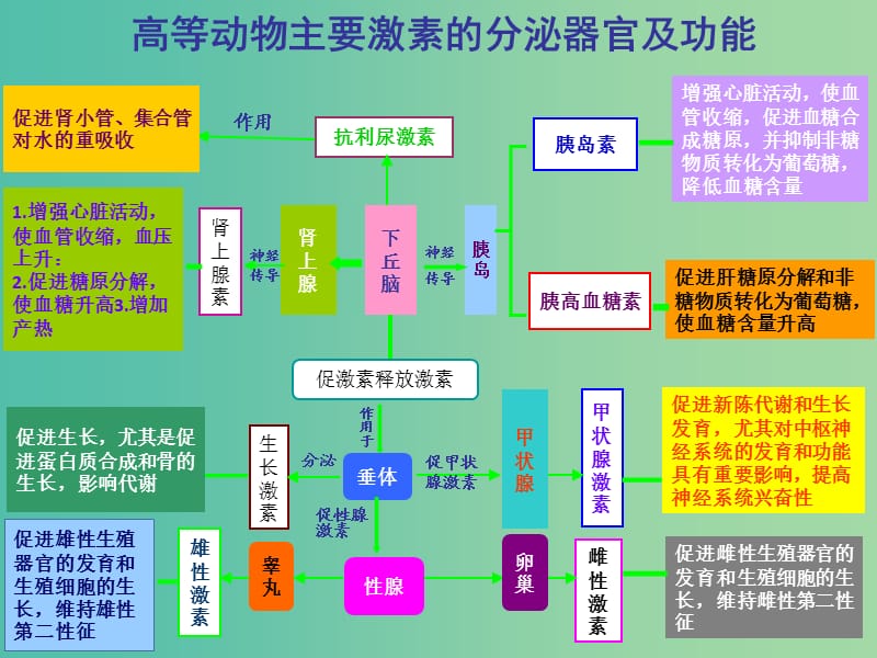 高考生物 高频考点30 高等动物主要激素的分泌器官及功能素材.ppt_第1页