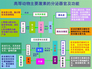 高考生物 高頻考點30 高等動物主要激素的分泌器官及功能素材.ppt