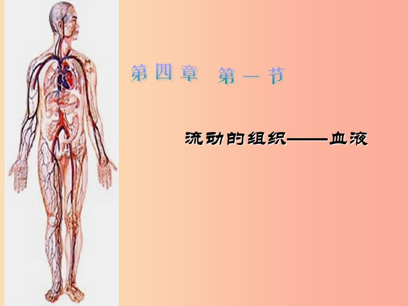 吉林省七年级生物下册4.4.1流动的组织___血液课件 新人教版.ppt_第2页