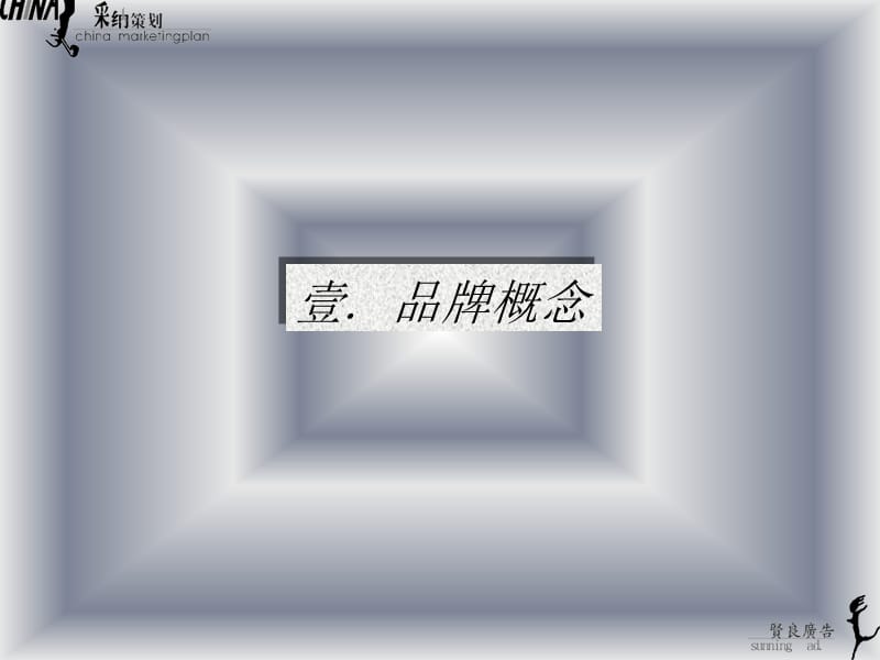 品牌营销工程师完全手册.ppt_第2页