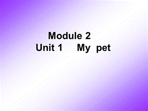 六年級英語《Unit 1 My pet》.ppt