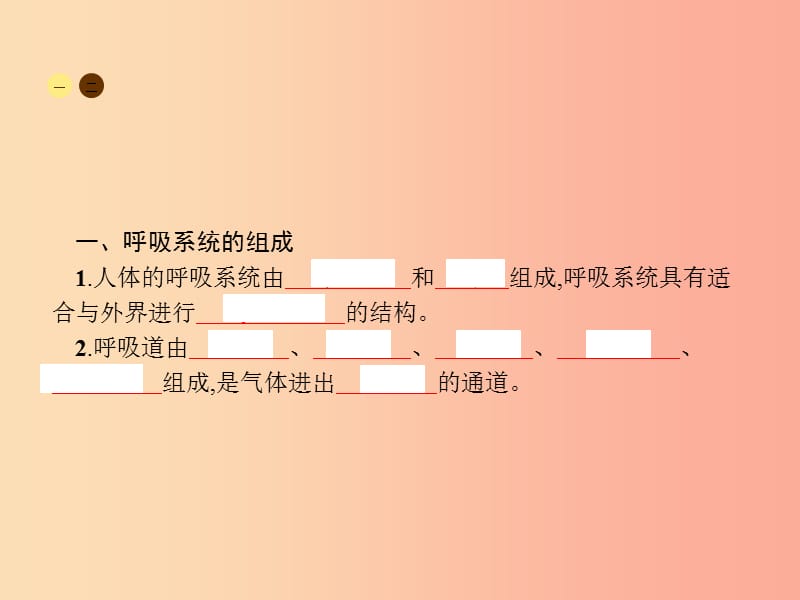 2019年春七年级生物下册 第三章 人体的呼吸 第一节 呼吸道对空气的处理课件 新人教版.ppt_第3页