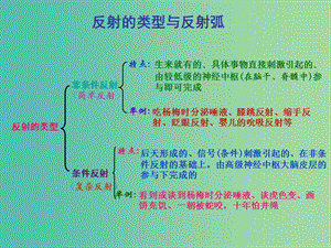 高考生物 高頻考點28 反射的類型和反射弧素材.ppt