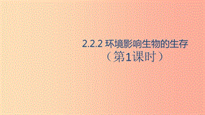 七年級(jí)生物上冊(cè)2.2.2環(huán)境影響生物的生存第1課時(shí)課件新版蘇科版.ppt