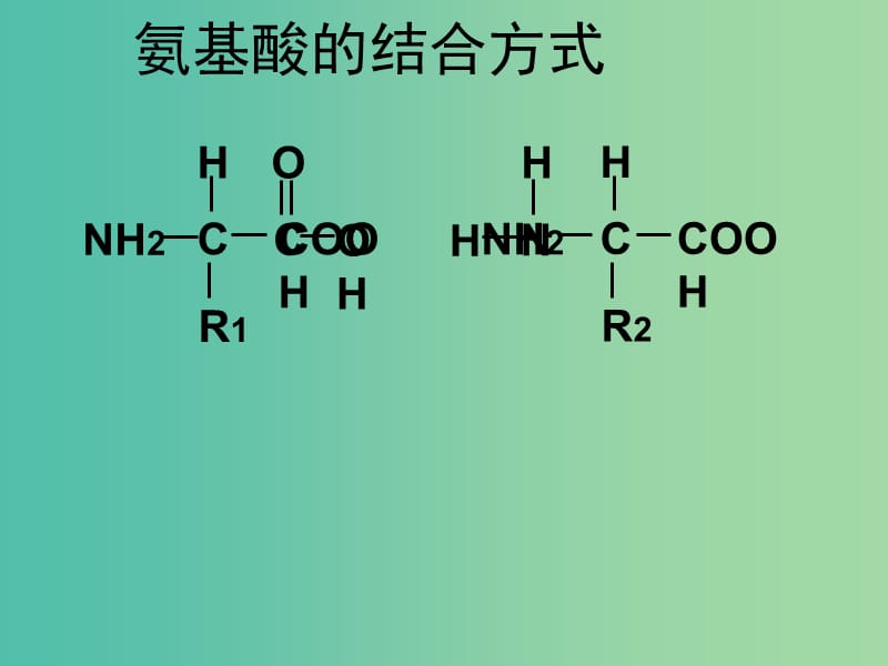 高考生物 高頻考點4 蛋白質(zhì)形成過程分析素材.ppt_第1頁